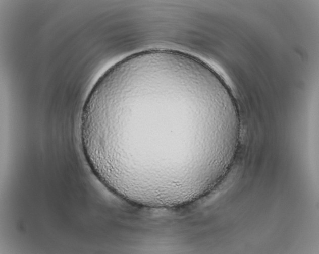 X0000113560903200910161454