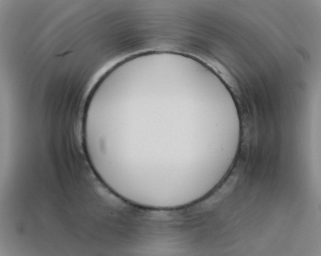 X0000113560904200910161453
