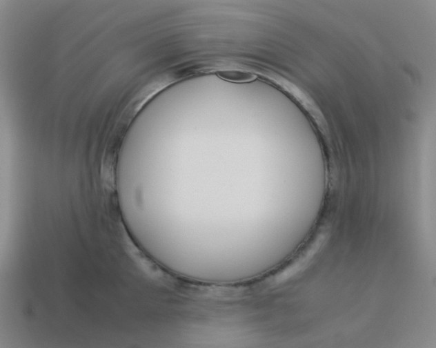 X0000113560905200910161453