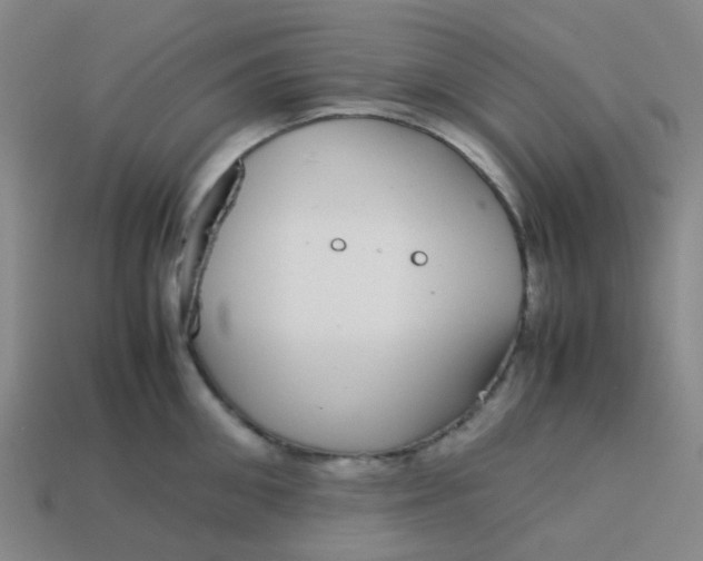 X0000113560906200910161453