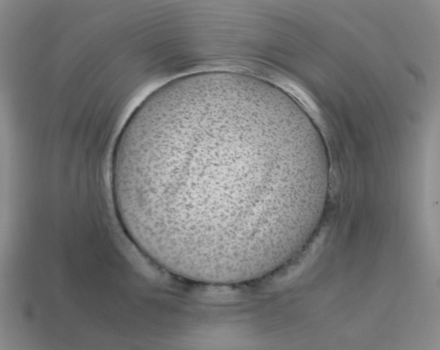 X0000113560907200910161453