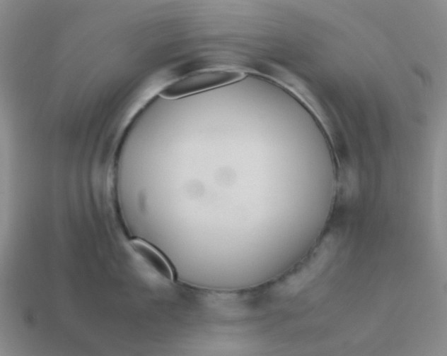 X0000113560909200910161453
