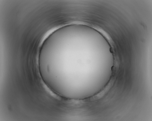 X0000113560910200910161453