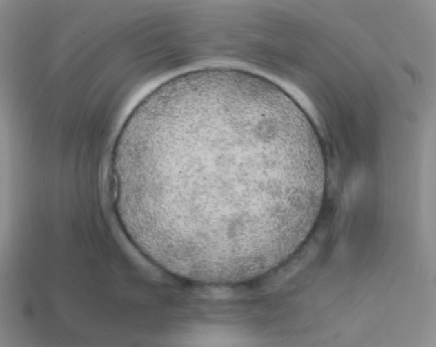 X0000113560911200910161453