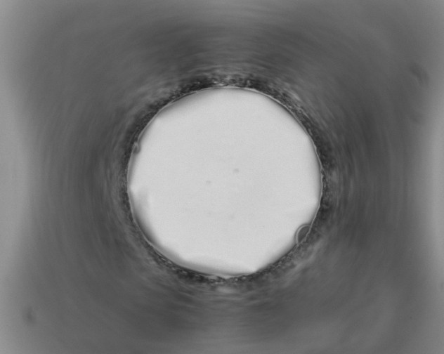 X0000113560913200910161453