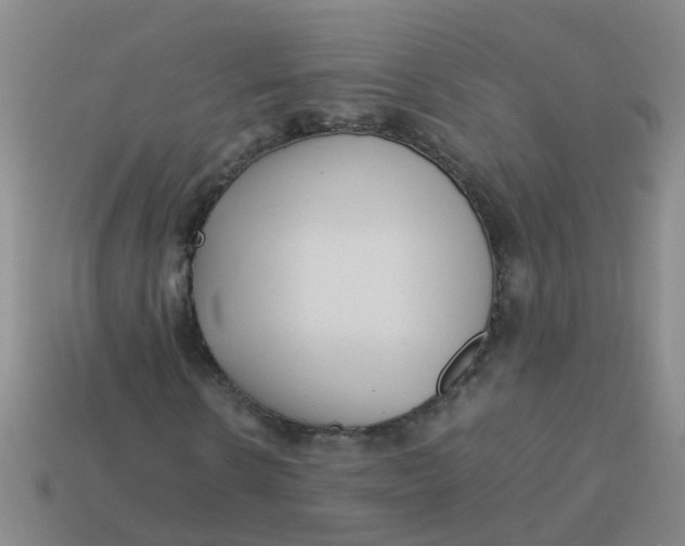 X0000113560914200910161453