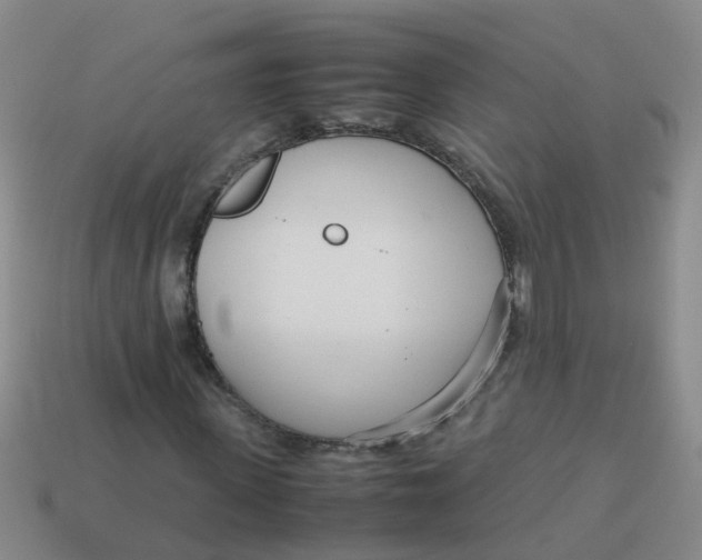 X0000113560915200910161453