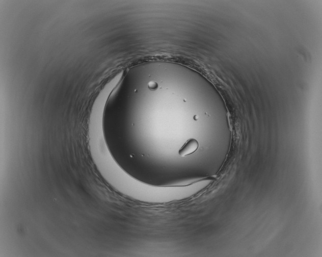 X0000113560916200910161453