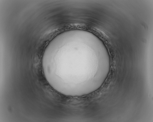 X0000113560917200910161453