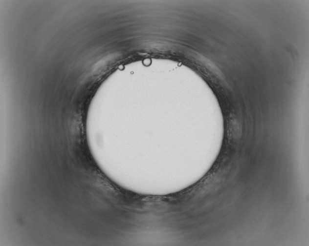 X0000113560918200910161453