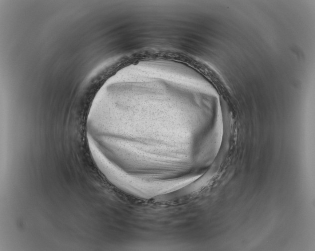 X0000113560919200910161453