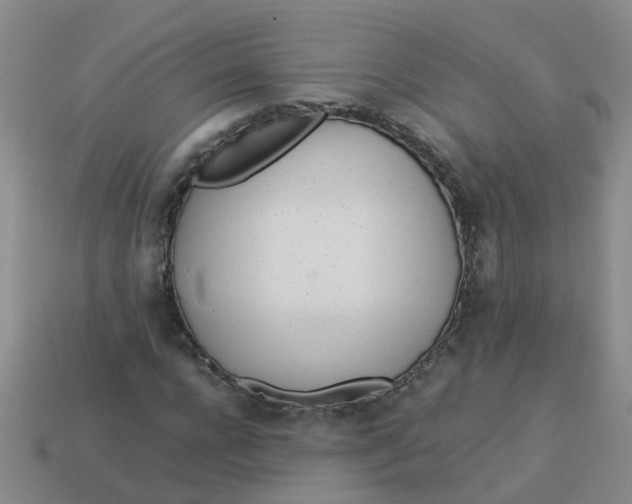 X0000113560920200910161453