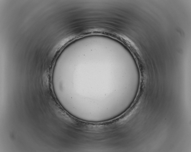 X0000113560921200910161453