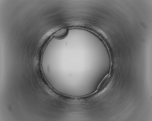 X0000113560922200910161453