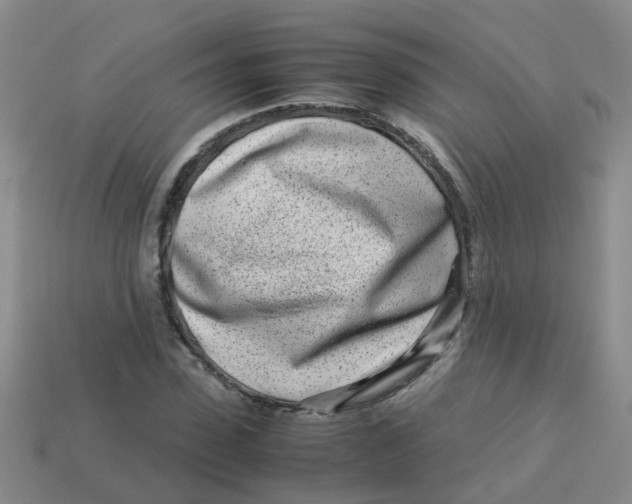 X0000113560923200910161453