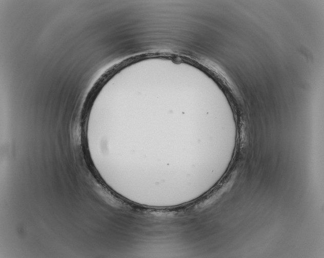 X0000113560924200910161453