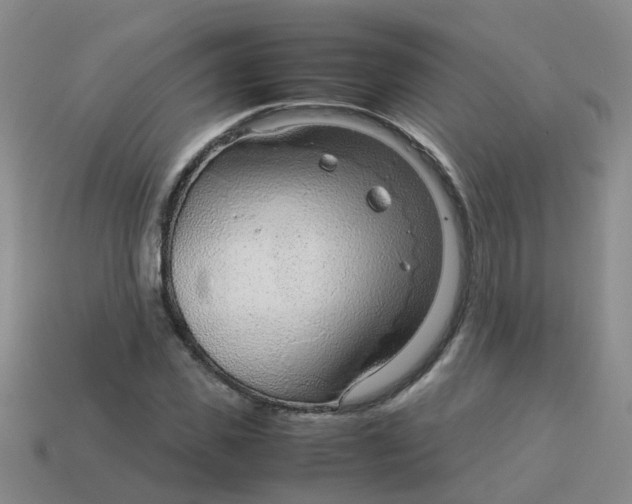 X0000113560925200910161453