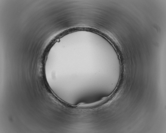 X0000113560926200910161453