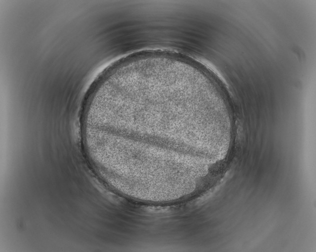 X0000113560927200910161453