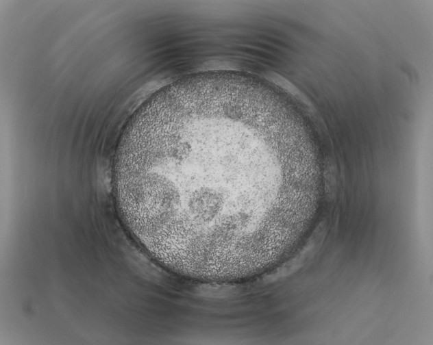 X0000113560929200910161453