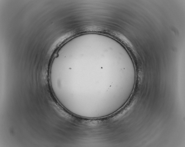 X0000113560930200910161453