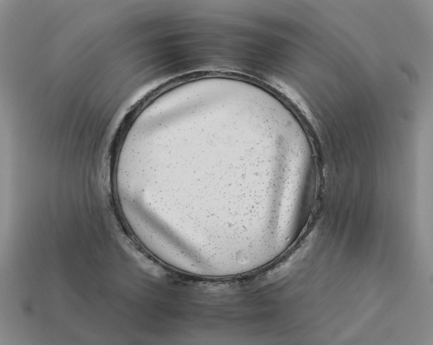 X0000113560931200910161453