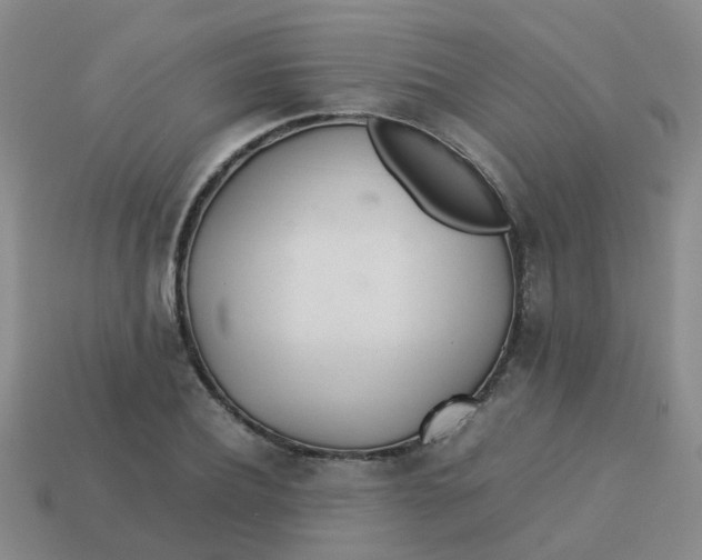 X0000113560932200910161453