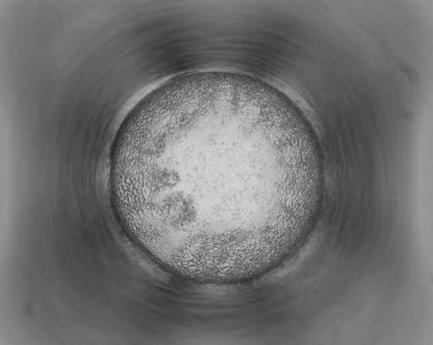 X0000113560933200910161453