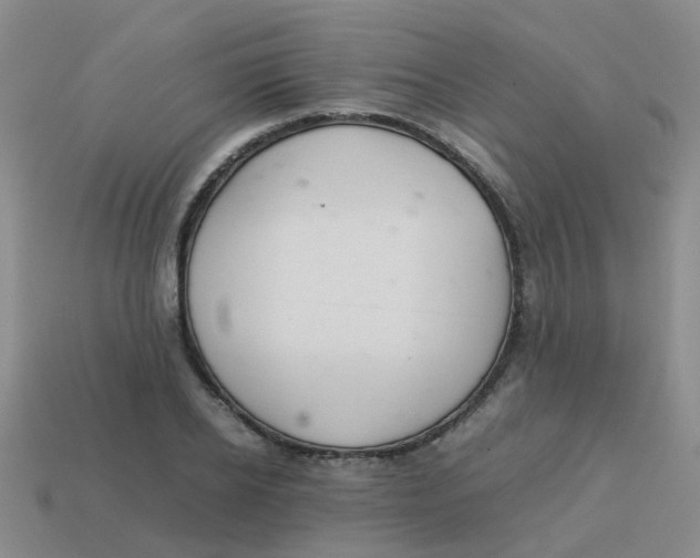 X0000113560934200910161453