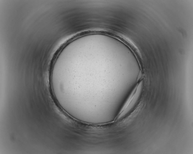 X0000113560935200910161453