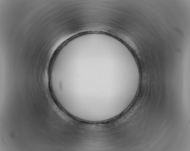 X0000113560936200910161453