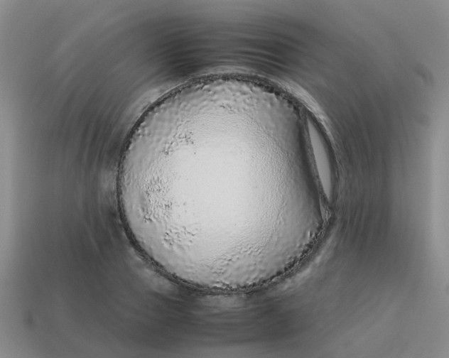 X0000113560937200910161453