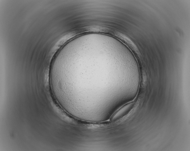 X0000113560938200910161453