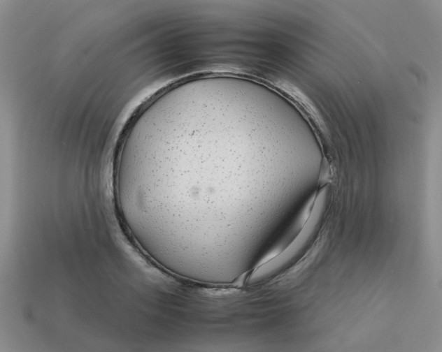 X0000113560939200910161453