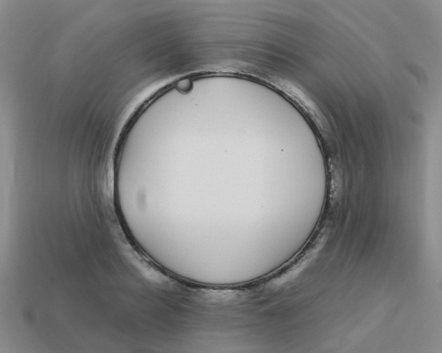 X0000113560940200910161453