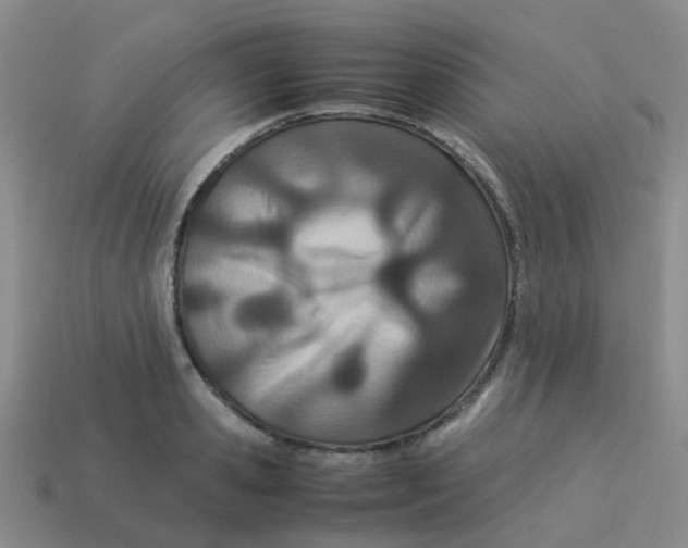 X0000113560941200910161453