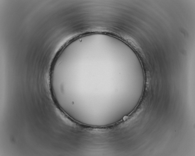 X0000113560942200910161453