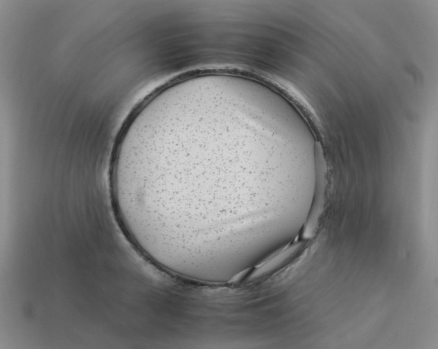X0000113560943200910161453