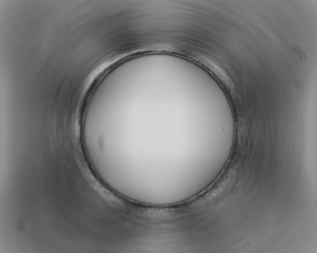 X0000113560944200910161453