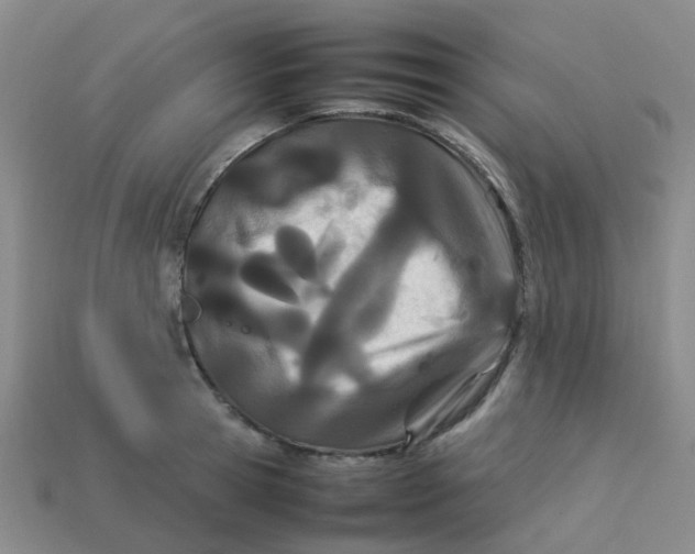 X0000113560945200910161453