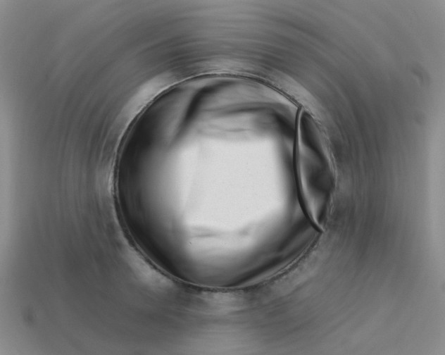 X0000113560946200910161453