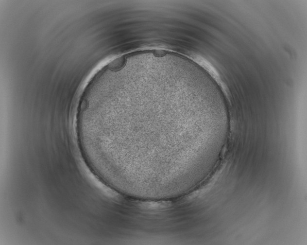 X0000113560947200910161453