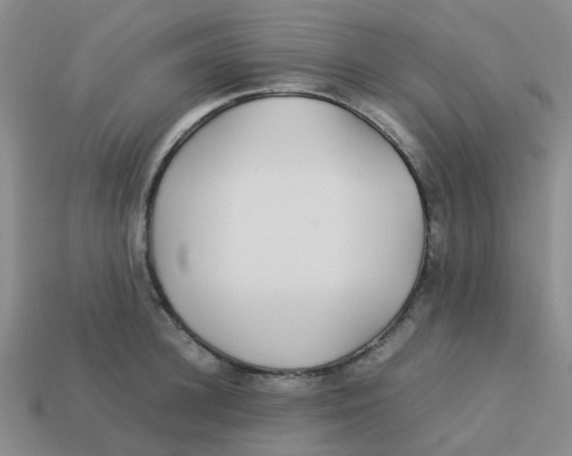 X0000113560948200910161453