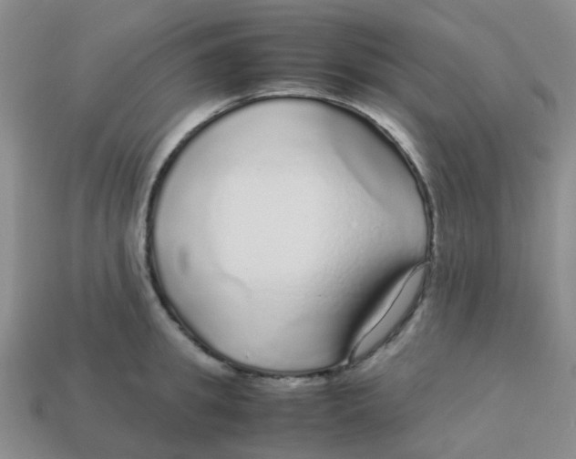 X0000113560949200910161453