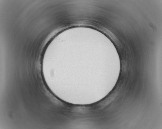 X0000113560950200910161453