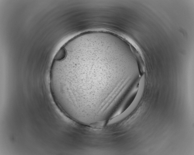 X0000113560951200910161453