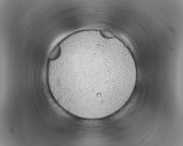 X0000113560952200910161453