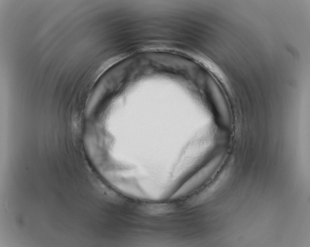 X0000113560953200910161453