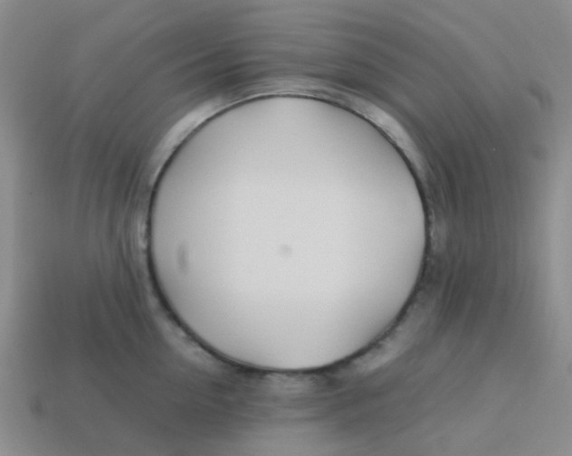 X0000113560954200910161453