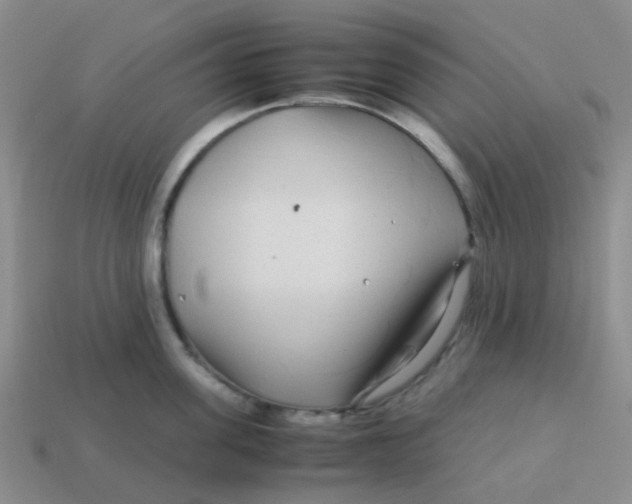 X0000113560955200910161453